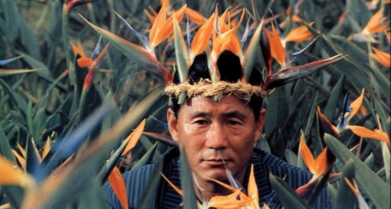 Kitano fiori.jpg Kitano fiori.jpg